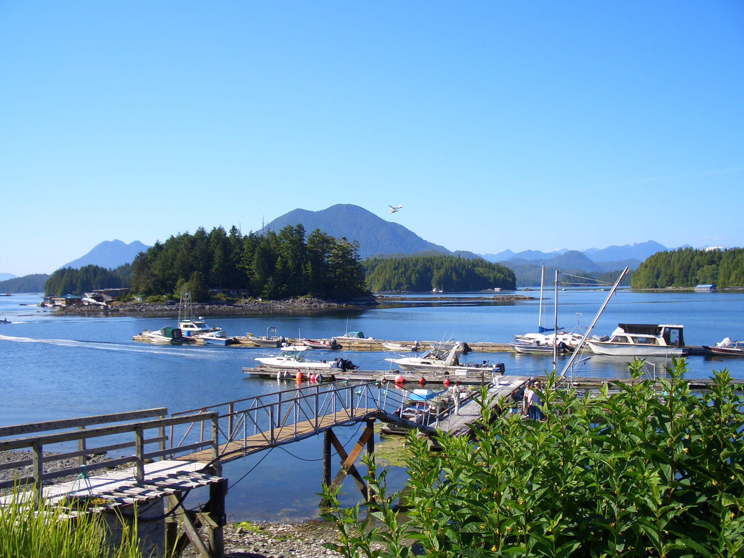 view from our patio in Tofino
