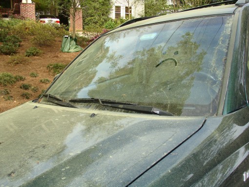 pollen on car